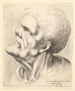 Cabeça de um homem com queixo saliente e nariz arrebitado, olhando para cima, de perfil para a esquerda, 1625-77. de Wenceslaus Hollar
