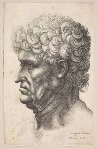 Cabeça de um homem com cabelos cacheados e grossos em perfil à esquerda, 1640-49. de Wenceslaus Hollar