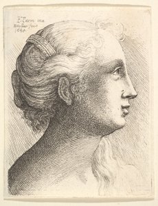 Cabeça de uma jovem de perfil à direita, 1645. de Wenceslaus Hollar