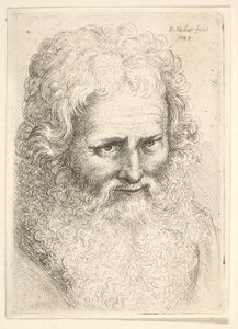 Cabeça de um homem idoso com uma grande barba de Wenceslaus Hollar