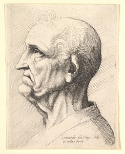 Cabeça de um homem velho, com tufos de cabelos encaracolados ao redor da orelha, de perfil para a esquerda, 1644-52. de Wenceslaus Hollar