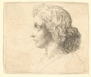 Cabeça de jovem com cabelos compridos em perfil à esquerda, 1644-52. de Wenceslaus Hollar