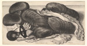  de Wenceslaus Hollar
