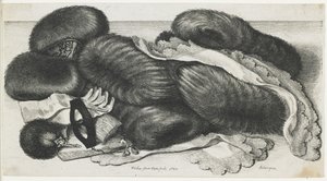Muffs e artigos de vestuário em uma tabela, 1647 de Wenceslaus Hollar