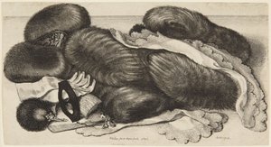 Muflas e adornos de Wenceslaus Hollar