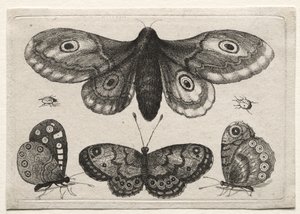  de Wenceslaus Hollar