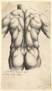 Torso masculino nu, visto por trás, 1645. de Wenceslaus Hollar