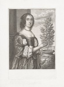Retrato de uma mulher de pé ao lado de uma planta de loureiro de Wenceslaus Hollar