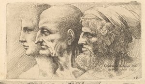 Fileira de três cabeças no perfil à esquerda, 1645. de Wenceslaus Hollar