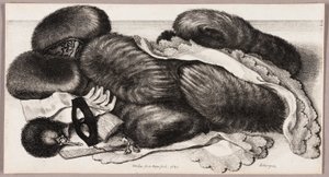Still-Life com um Grupo de Muffs, um Par de Luvas, e Dois Lenços de Lenço de Wenceslaus Hollar