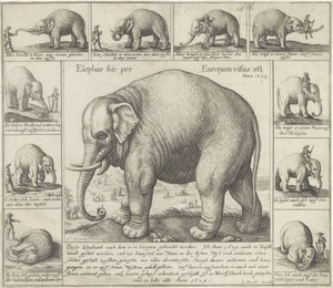 Eles também cheiram Um elefante foi visto aqui na Europa (título no objeto) de Wenceslaus Hollar