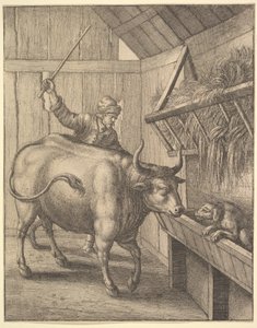 O cão na manjedoura, da ilustração a John Ogilbys Æsopics: Or A Second Collection ..., 1666. de Wenceslaus Hollar