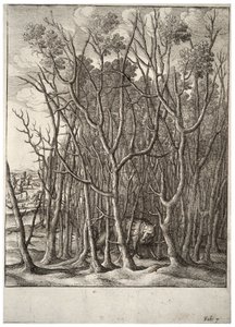 A raposa e o arbusto de espinhos. Estado 2 de Wenceslaus Hollar