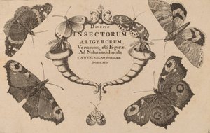 Folha de rosto. de Wenceslaus Hollar