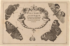 Folha de rosto de Wenceslaus Hollar
