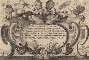Página de título, 1646. de Wenceslaus Hollar