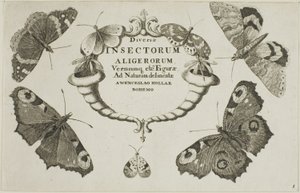 Página de título de diversos insetos de Wenceslaus Hollar