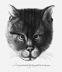 Imagem verdadeira do gato do czar Alexis I Mikhailovich da Rússia de Wenceslaus Hollar
