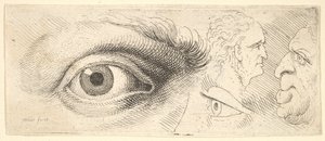 Dois olhos e duas cabeças, 1644-52. de Wenceslaus Hollar