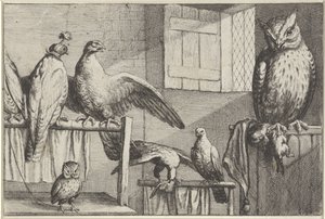 Falcões e corujas em um celeiro Diversae avium espécies (título da série) Pássaros diferentes (título da série) de Wenceslaus Hollar