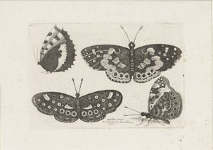 Quatro borboletas
Insectos (título da série)
Muscarum Scarabeorum (título da série) de Wenceslaus Hollar