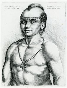 Índio da Virgínia, 1645 de Wenceslaus Hollar