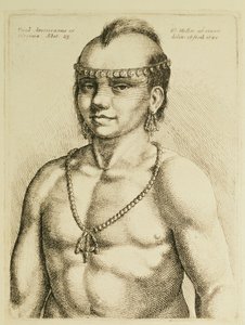 Índio da Virgínia dos 