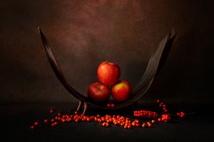  de Wendy Xu