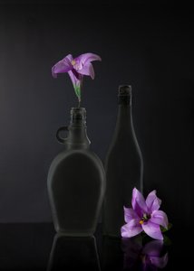  de Wendy Xu