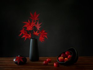  de Wendy Xu