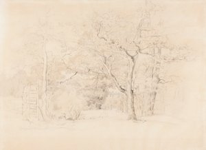 Paisagem, bosque