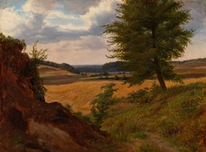 Árvore numa paisagem de campos, estudo
