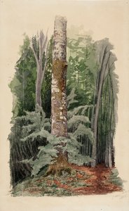  de Werner Holmberg