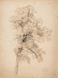  de Werner Holmberg