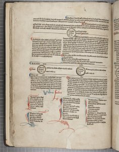 Fol 30 veering Dias pacote