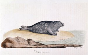 Selo comum - desenho por Werner de Werner Werner