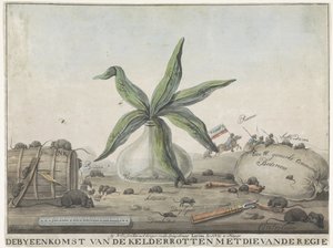 Cartum na alfândega francesa, 1813-1814 A Reunião do Porão Podre com a do Diretor (título no objeto) de Wijnand Esser