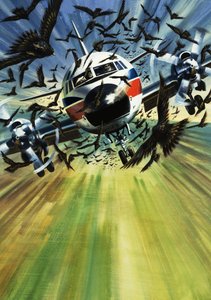 Um avião de passageiros ameaçado por um bando de pássaros de Wilf (20th century) Hardy
