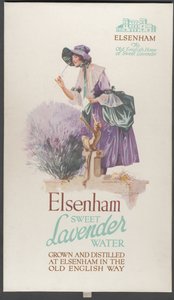 Elsenham Lavender, 1920s de Wilfred Fryer