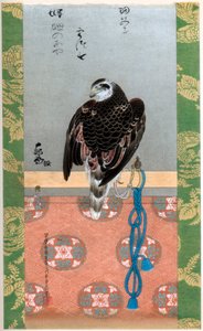 Falcão, c1790 1886