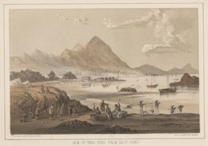 Vista de Hong Kong a partir de East Point, 1855 de Wilhelm Joseph Heine