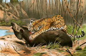 Jaguar matando anta de Wilhelm Kuhnert