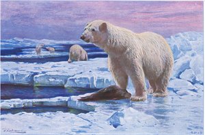 Urso Polar, da Vida Selvagem do Mundo, publicado por Frederick Warne & Co, c.1900 de Wilhelm Kuhnert
