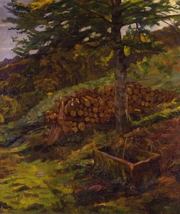 A fonte de Sigfrido no Odenwald de Wilhelm Trübner