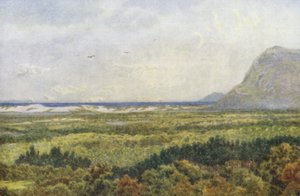 Vale de Constantia e Baía Falsa, com Cape Point (litografia a cores)