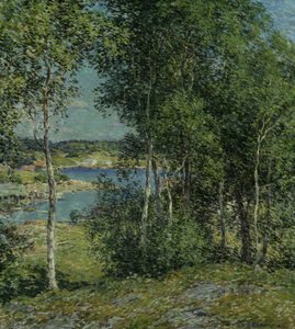 A Family of Birches, 1907.