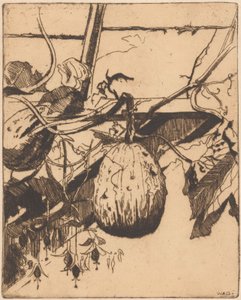 Calabashes e fúcsia