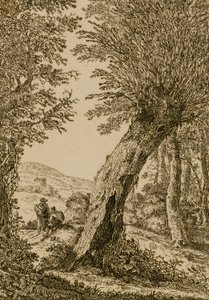 Paisagem com salgueiro de Willem Bemmel
