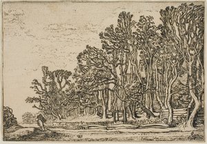 Paisagem com Sebes de Pranchas e Homem Carregando Madeira