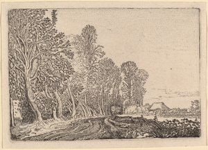 Estrada na orla da floresta